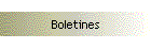 Boletines